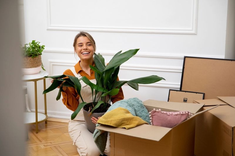 Local Movers Longmont CO